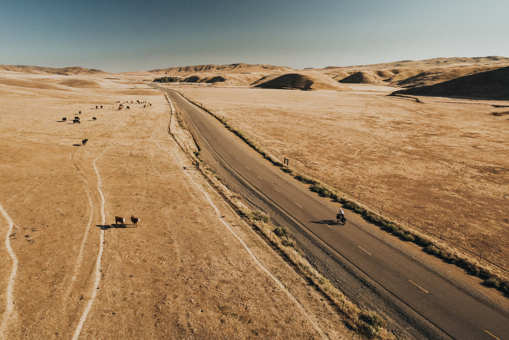 Racing the wind, leaving no trace.