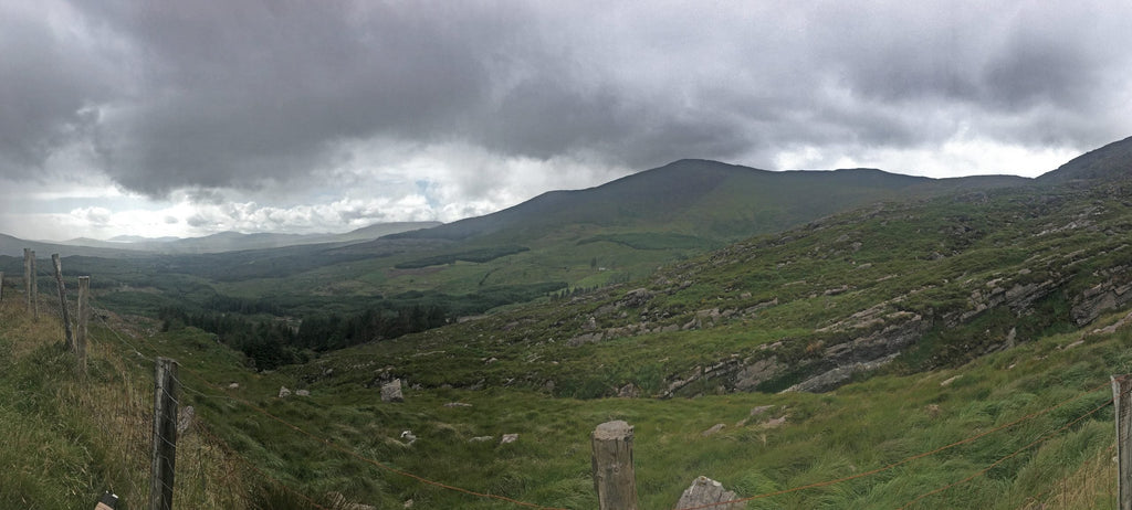 RIMBY: Eoghan Pattwell