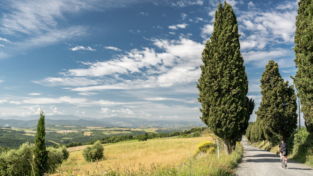 XPDTN3: TUSCANY WITH MAGNUS BACKSTEDT
